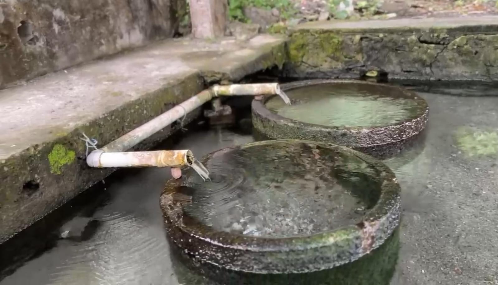 Tiga Sendang Dowangan: Kamulyan, Rahayu, dan Kamukten